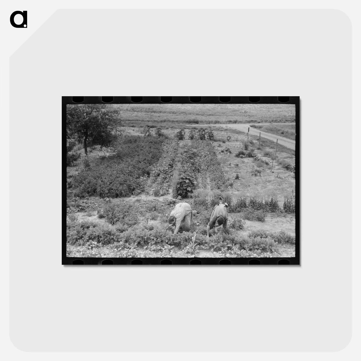 アートポストカード-Tile Garden Harvest
- ラッセル リー Postcard.