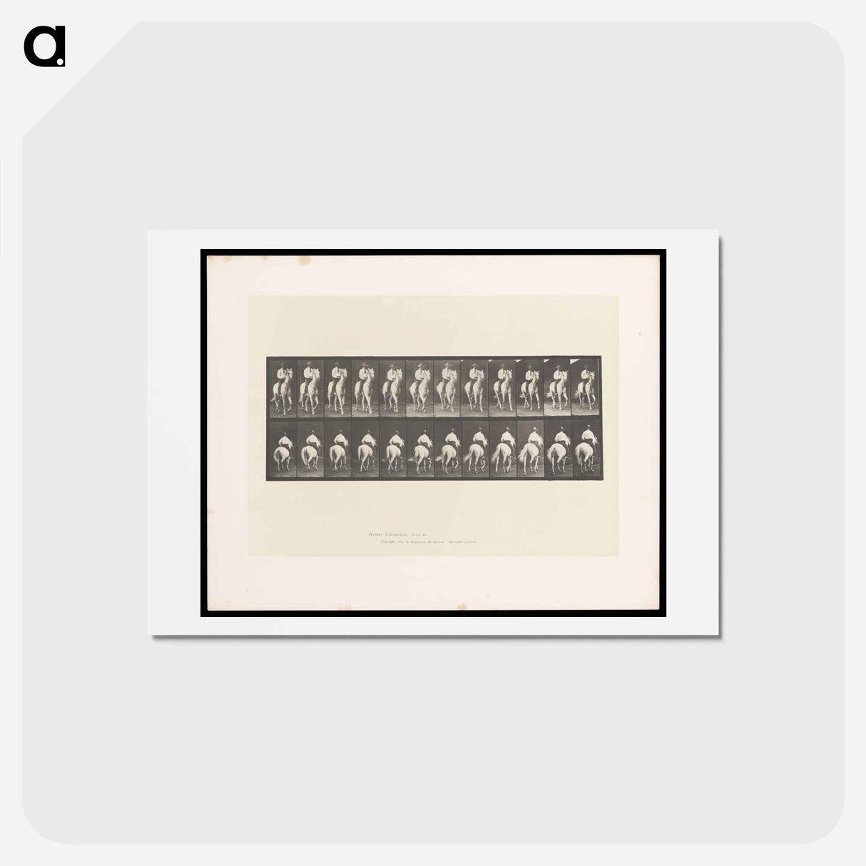 アートポストカード-Man on Horse
- エドワード マイブリッジ Postcard.