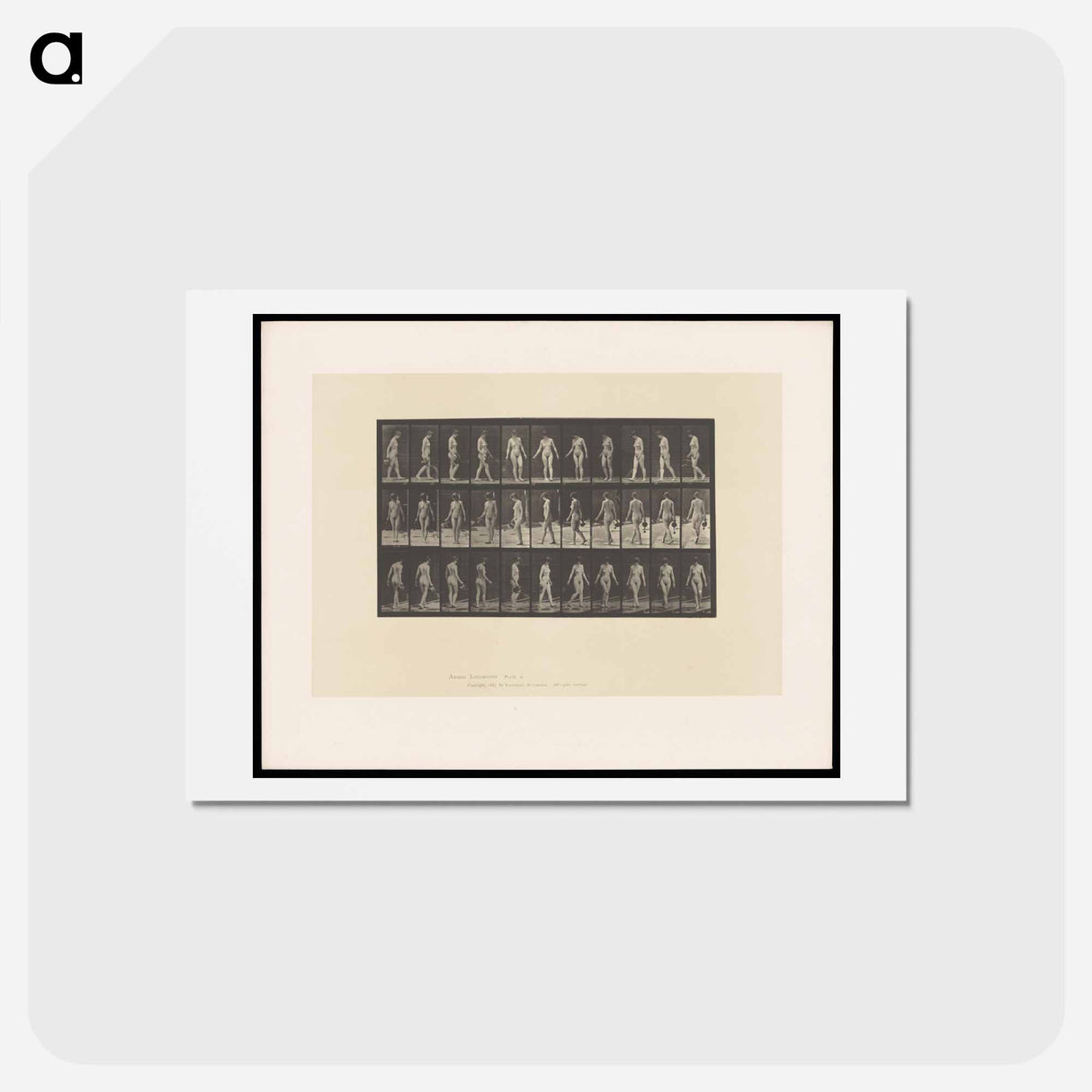 アートポストカード-Naked Woman Walking
- エドワード マイブリッジ Postcard.