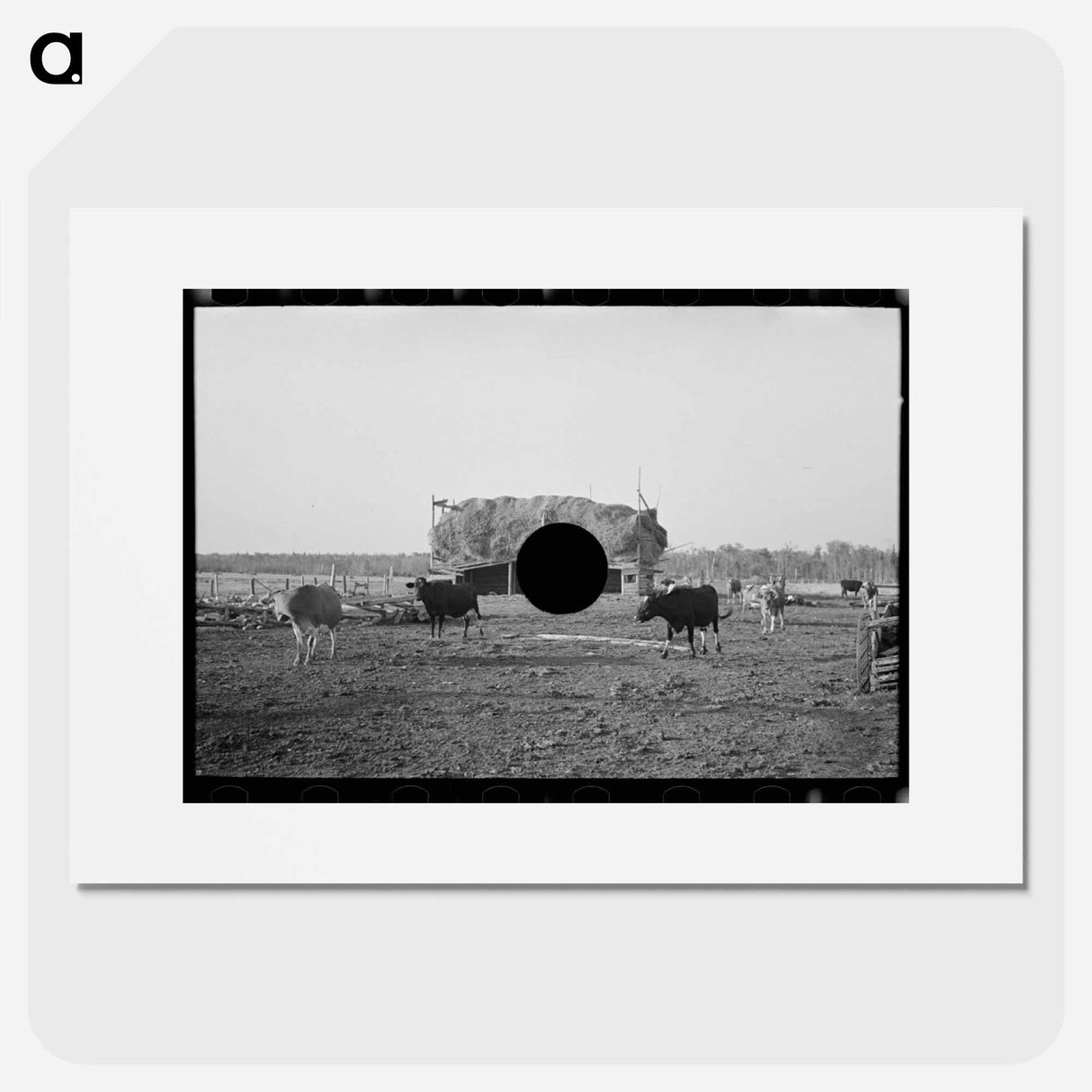 アートポスター-Cattle and Barn, Little Fork
- ラッセル リー Poster.