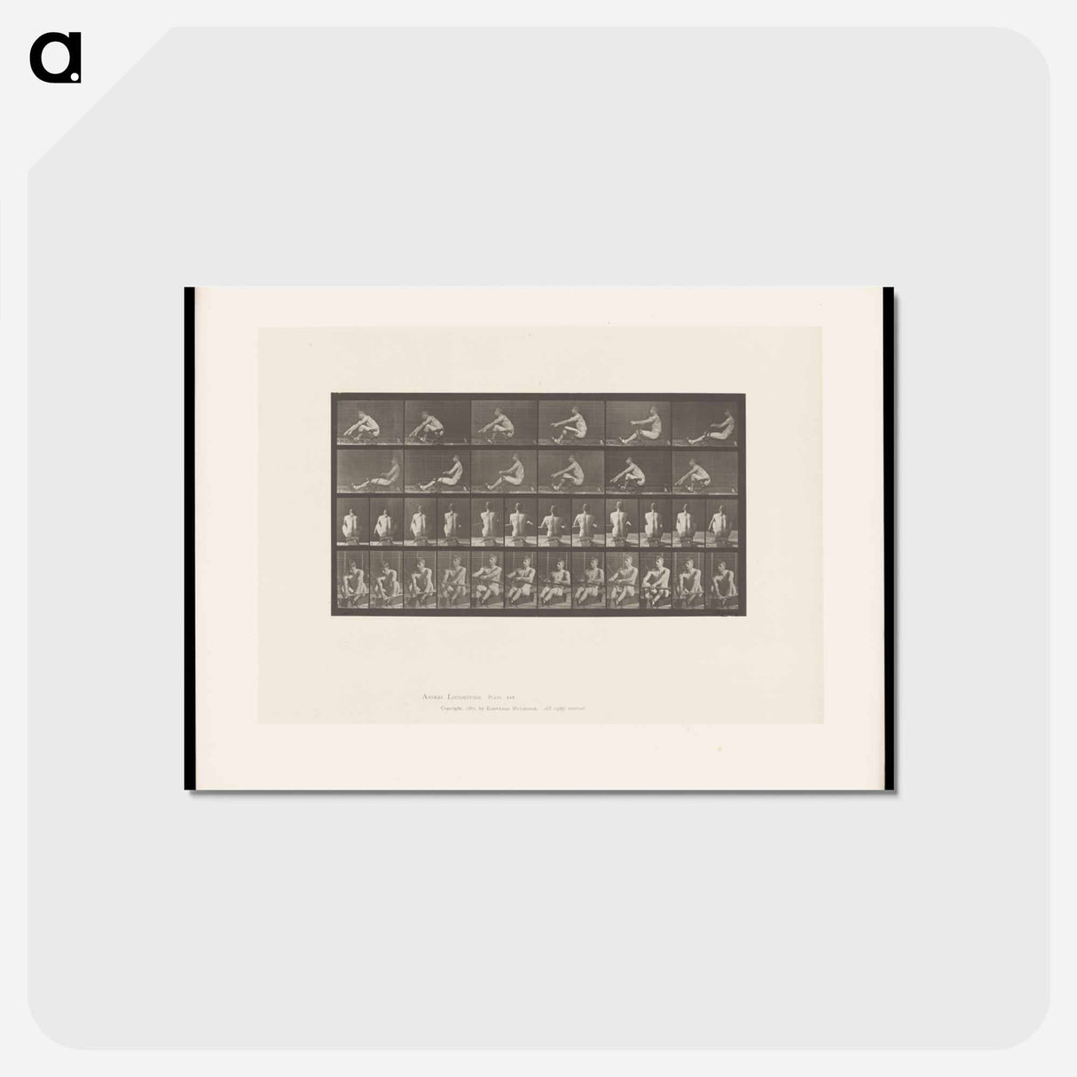 アートポストカード-Rowing Man
- エドワード マイブリッジ Postcard.