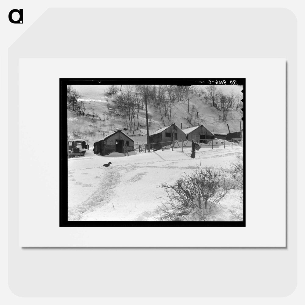 Utah coal town housing - Dorothea Lange Poster.