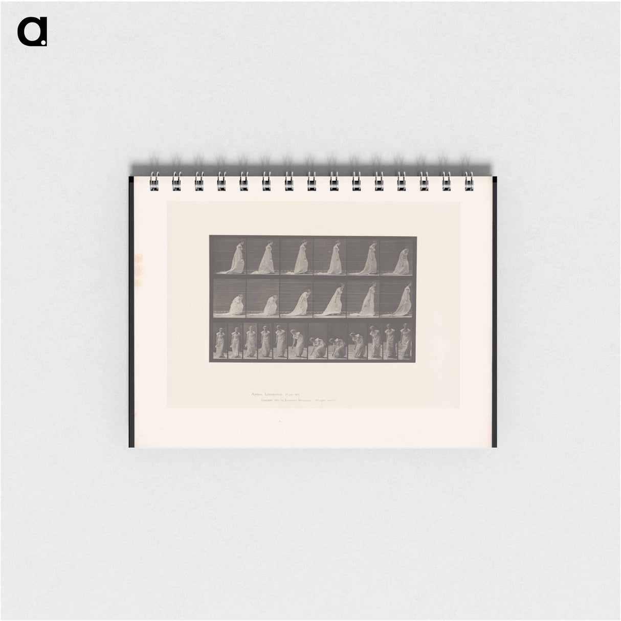 アートメモ帳-Woman Lifting Handkerchief
- エドワード マイブリッジ Memo.