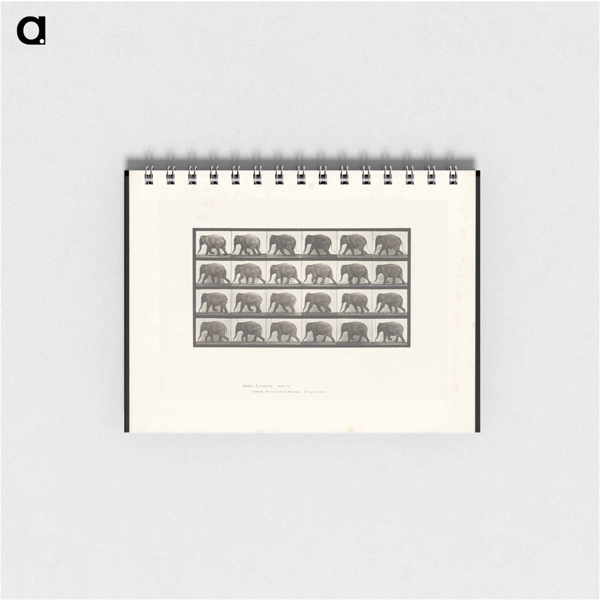 アートメモ帳-Elephant Walking
- エドワード マイブリッジ Memo.