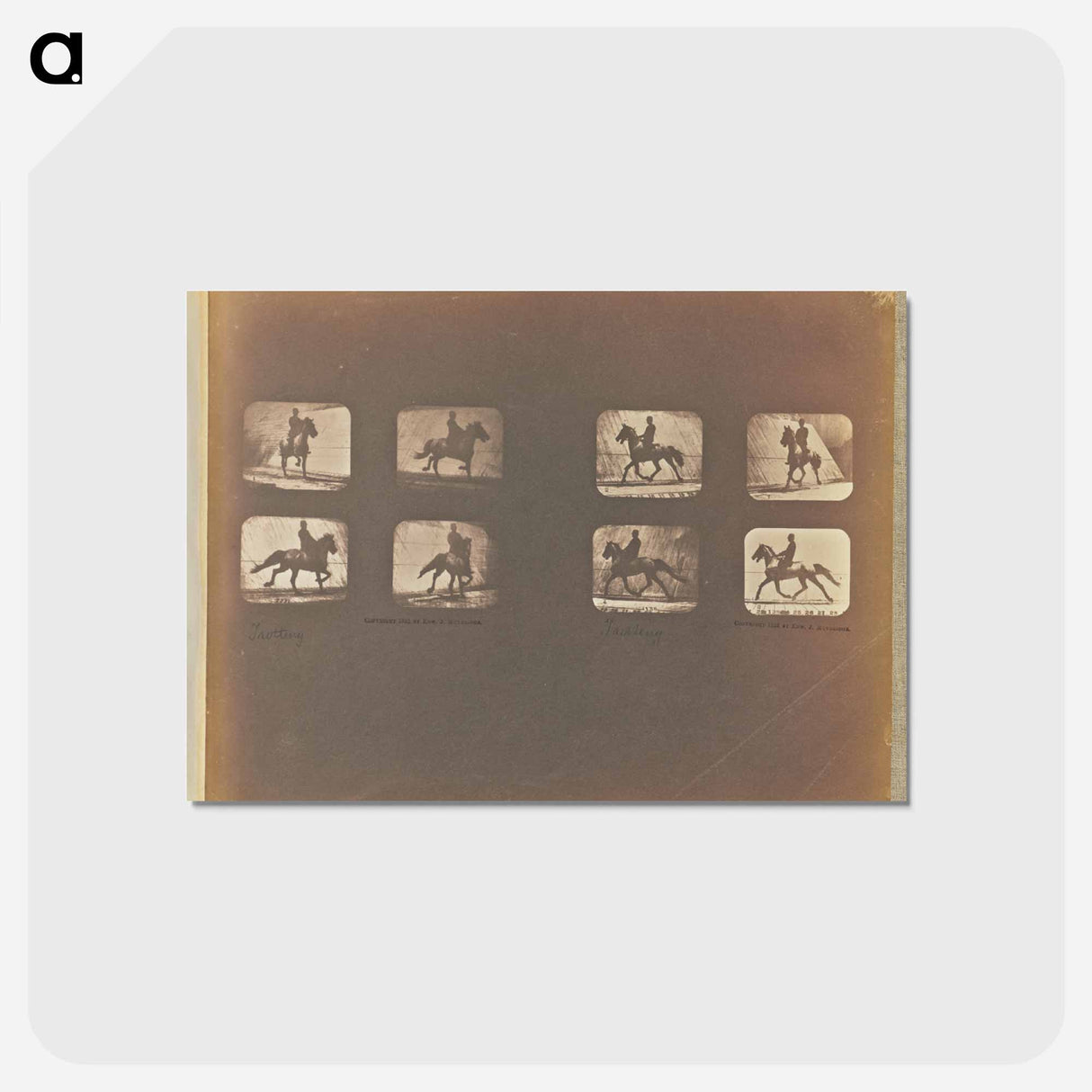アートポストカード-Trotting
- エドワード マイブリッジ Postcard.