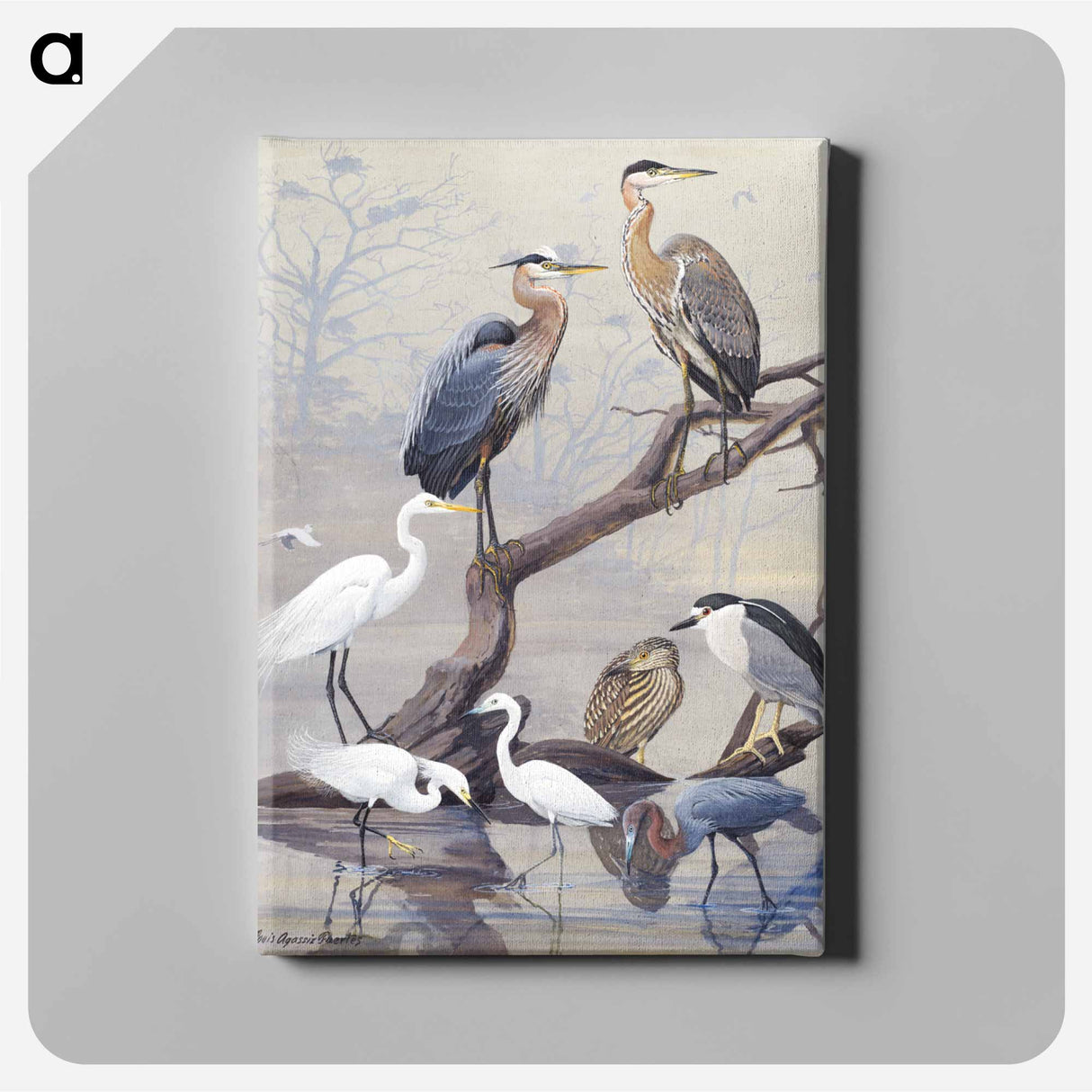 アートパネル-Herons
- ボストン公共図書館 Canvas.