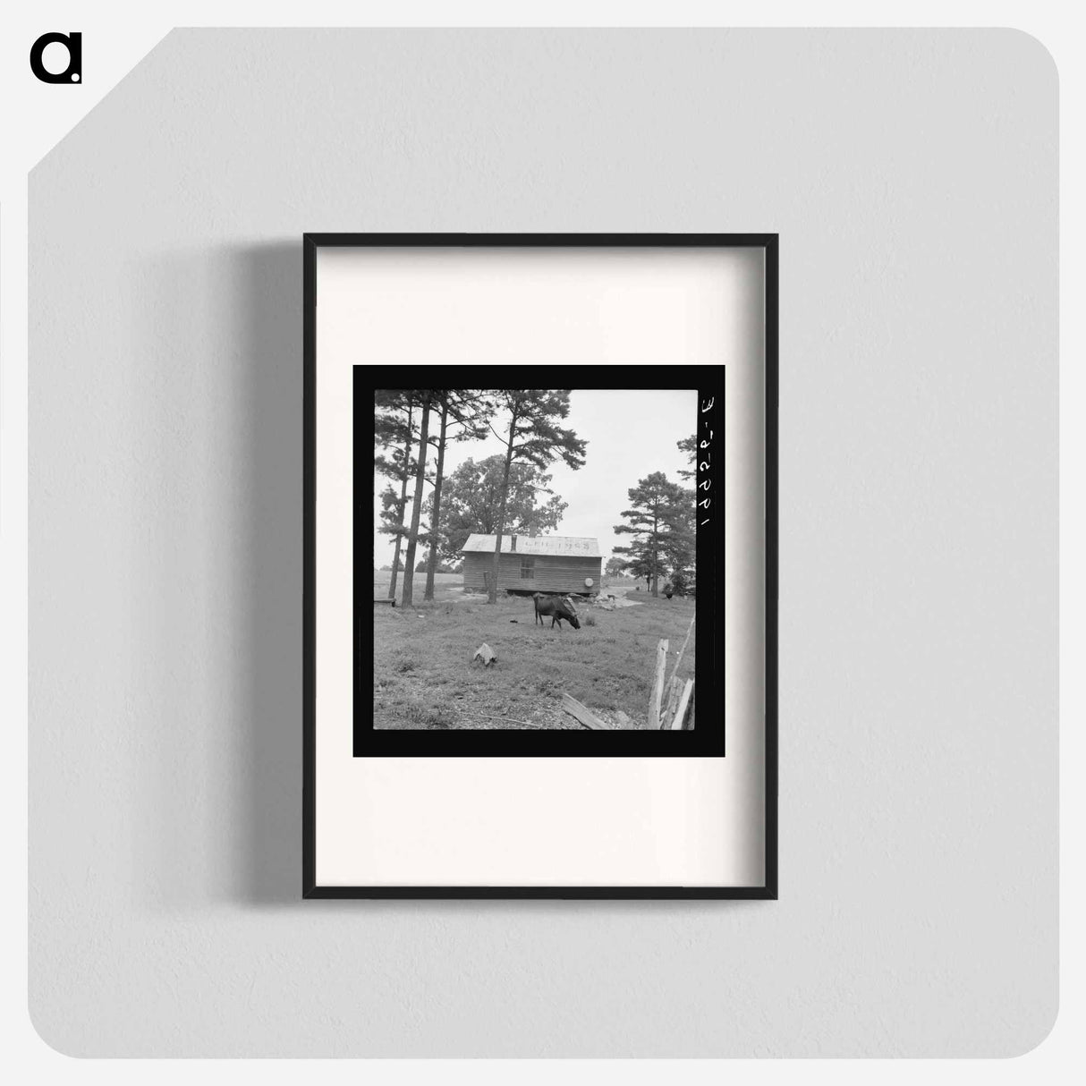 Sharecropper House - Dorothea Lange Poster.