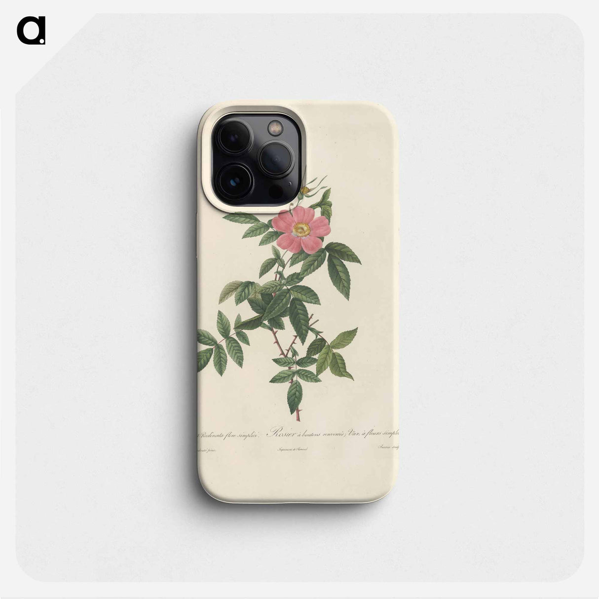 Rose illustration - ピエール ジョゼフ ルドゥーテ Phone Case.