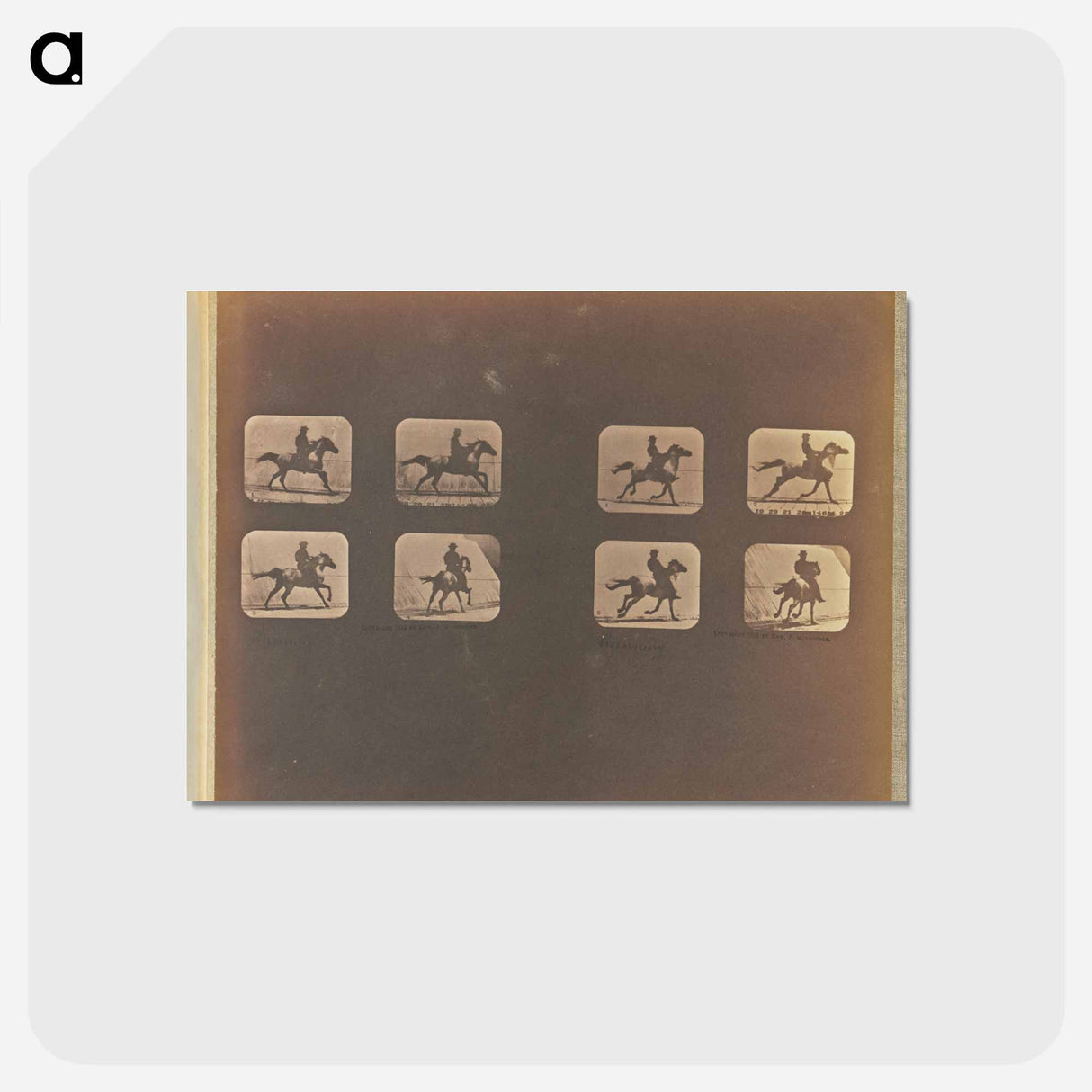 アートポストカード-Running
- エドワード マイブリッジ Postcard.