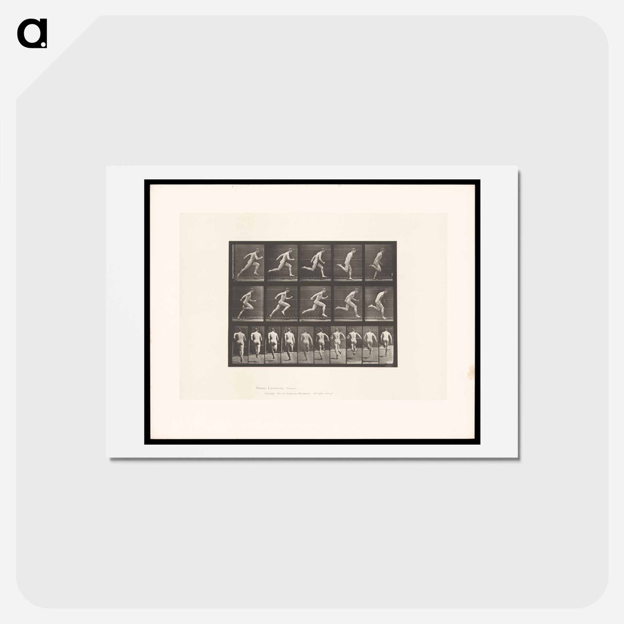アートポストカード-Sprinting Man
- エドワード マイブリッジ Postcard.