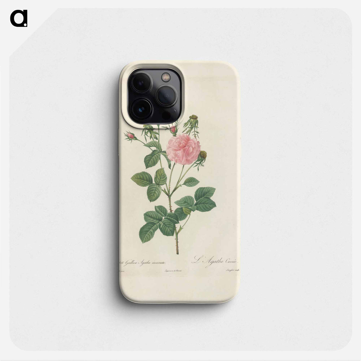 Rose illustration - ピエール ジョゼフ ルドゥーテ Phone Case.