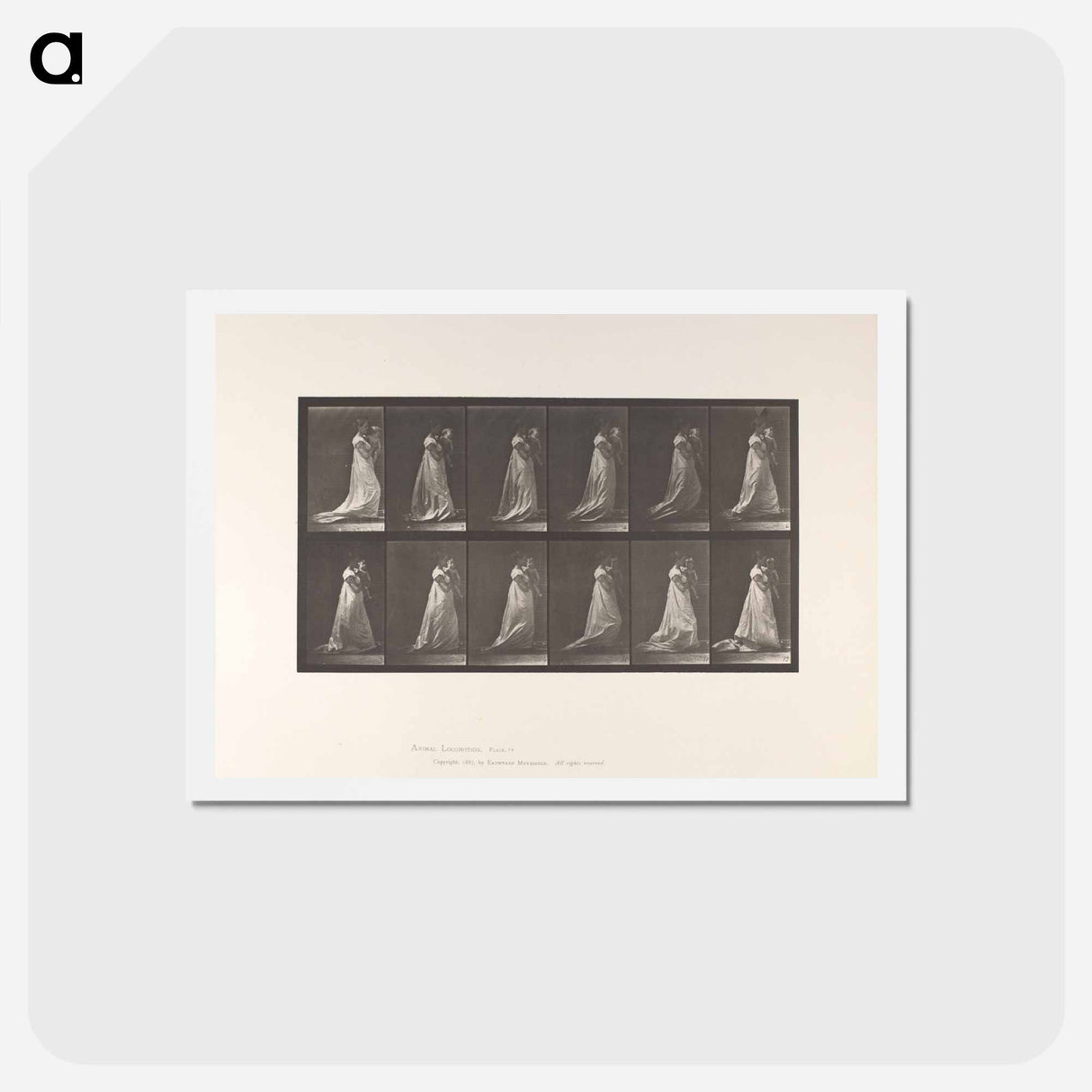 アートポストカード-Mother and Child
- エドワード マイブリッジ Postcard.