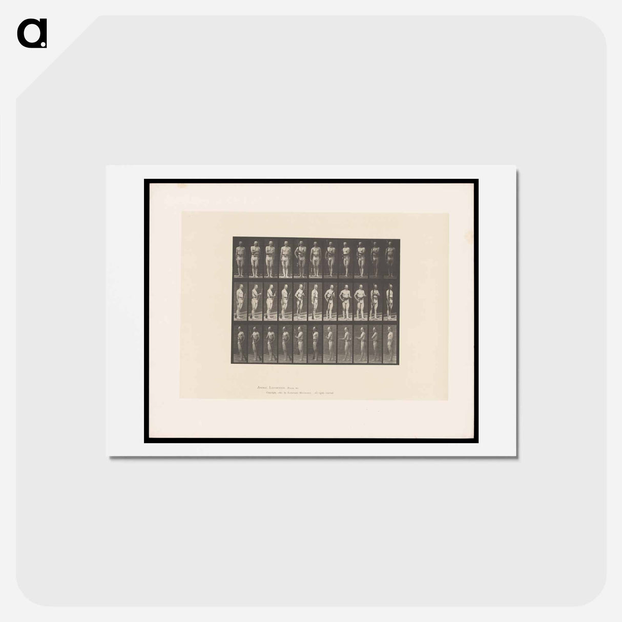アートポストカード-Man with Rifle
- エドワード マイブリッジ Postcard.