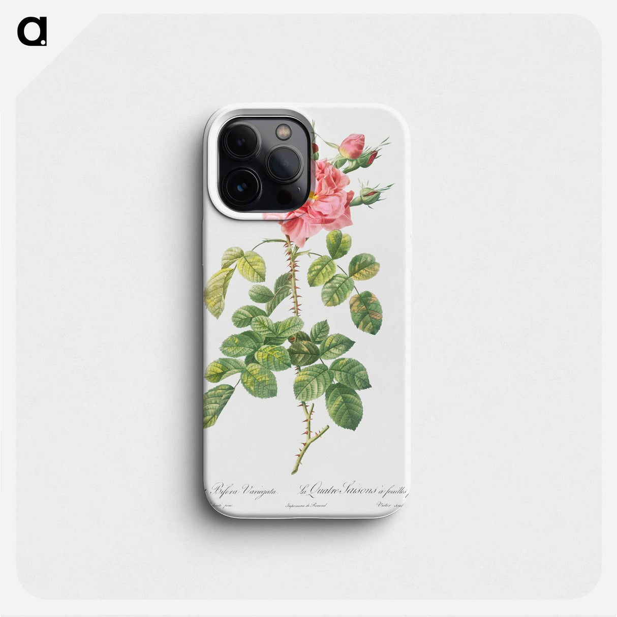 Variegated Four-Seasons Rose - Pierre Joseph Redouté Phone Case.
