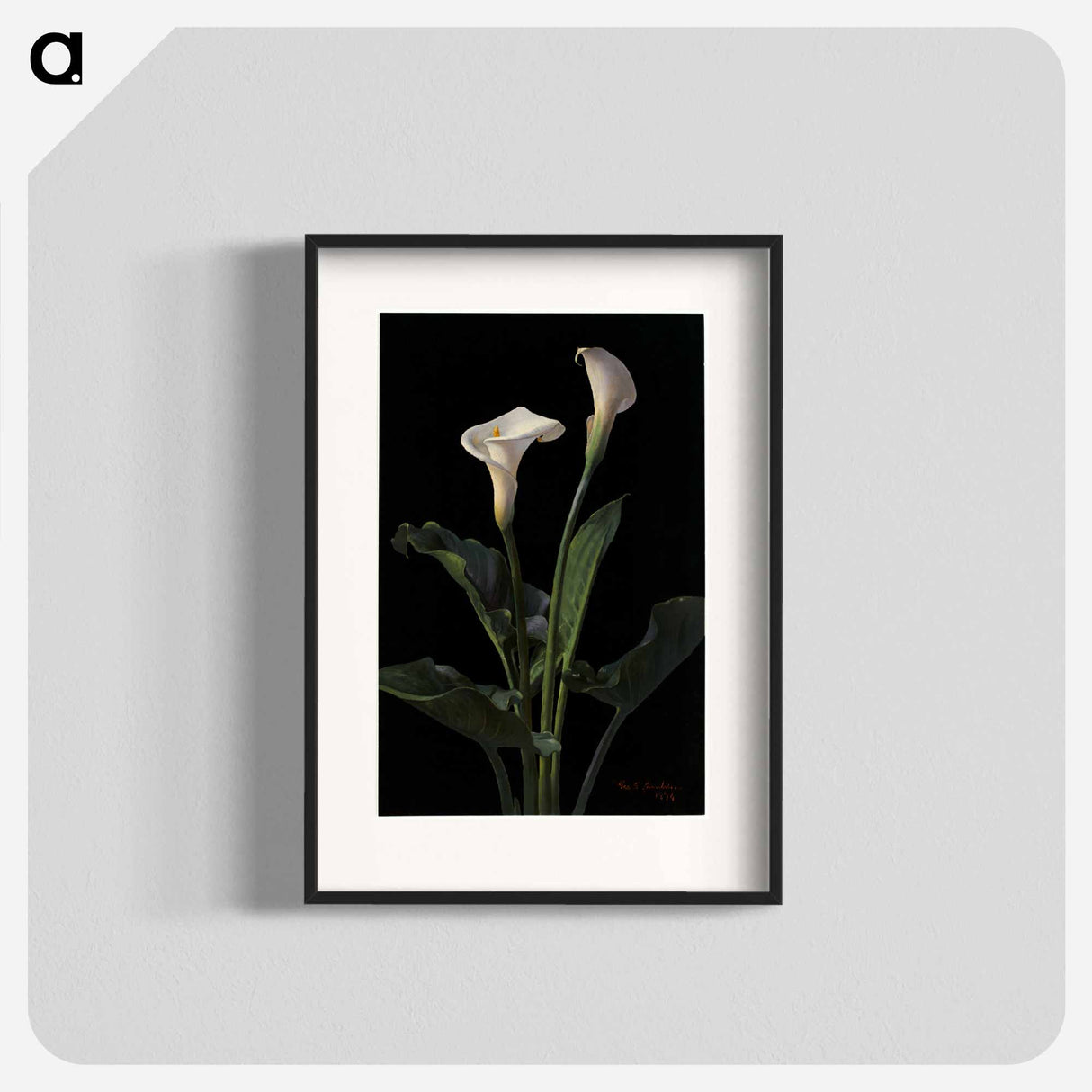 アートポスター-Calla Lilies
- ボストン公共図書館 Poster.
