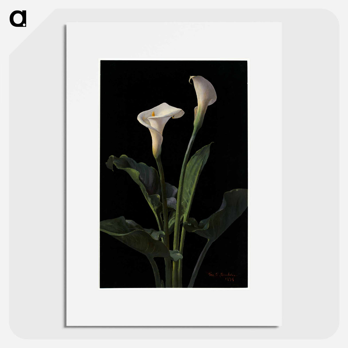 アートポスター-Calla Lilies
- ボストン公共図書館 Poster.