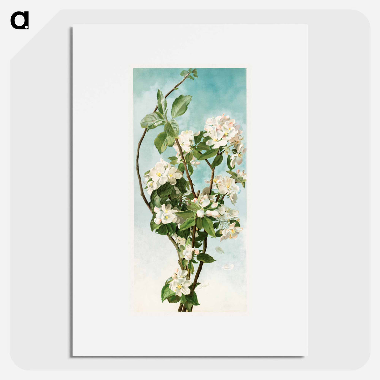 アートポスター-Apple Blossoms
- ボストン公共図書館 Poster.