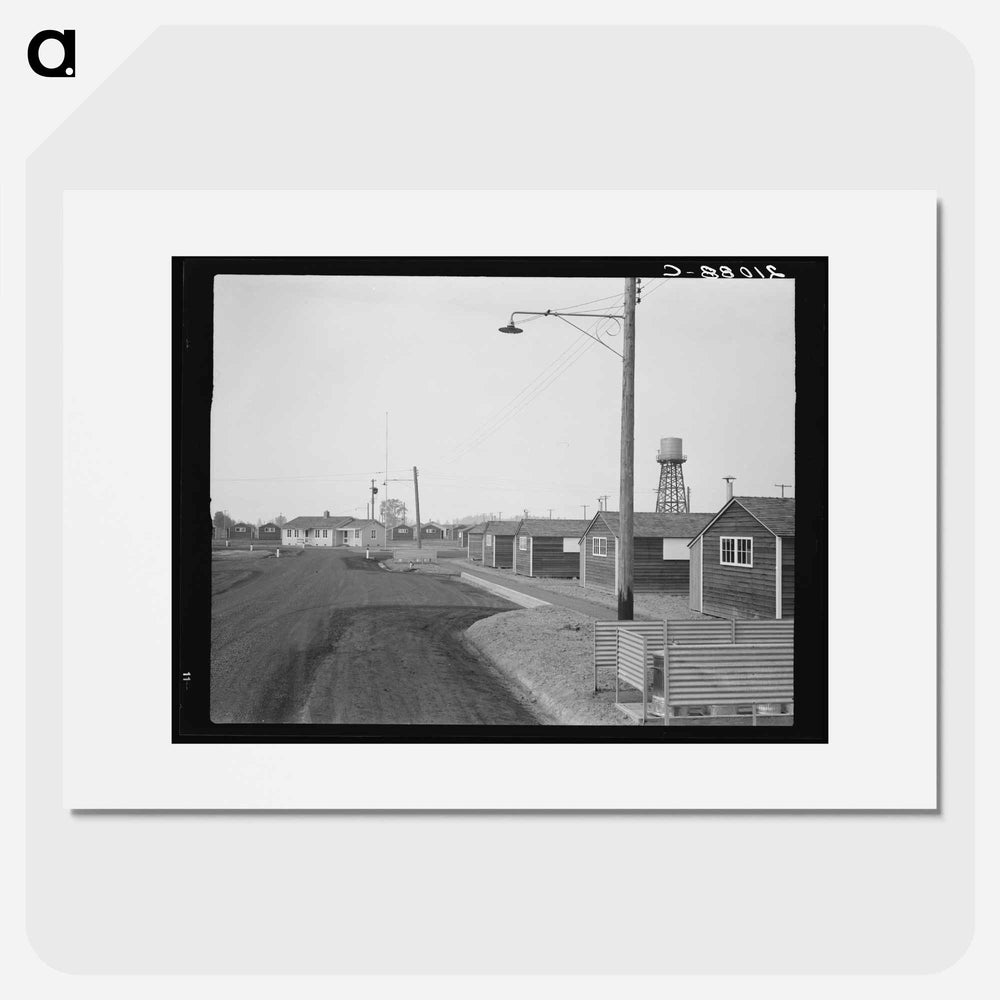 Untitled photo - Dorothea Lange Poster.