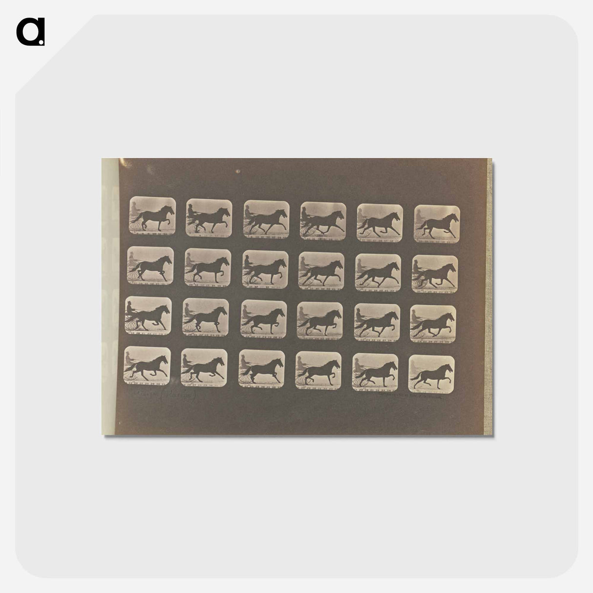 アートポストカード-Racking (Pacing)
- エドワード マイブリッジ Postcard.