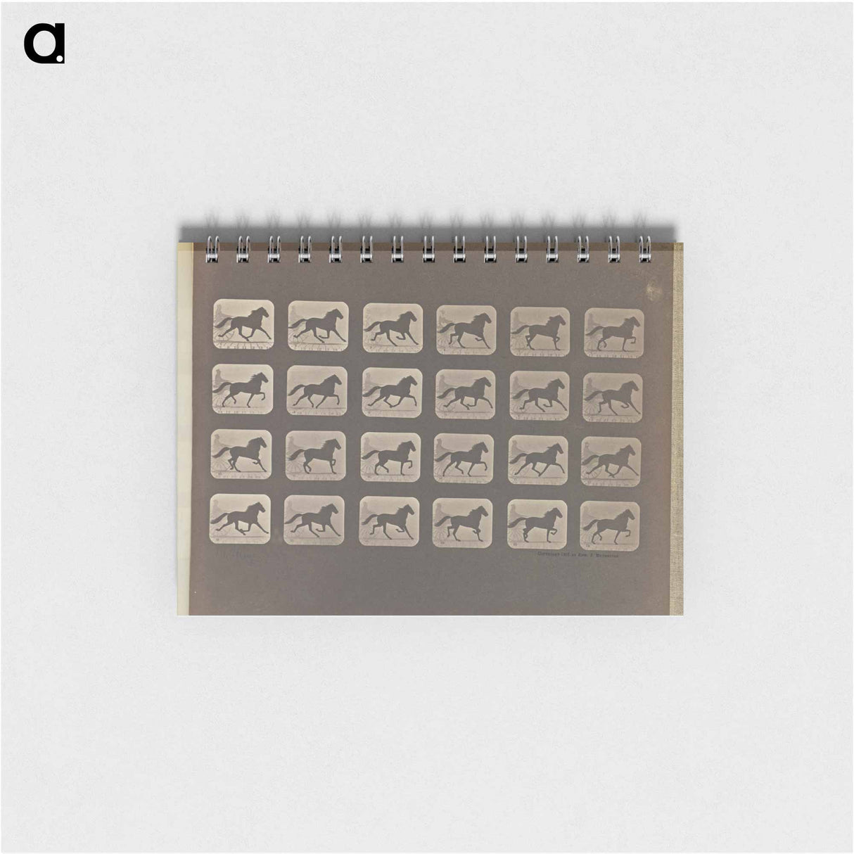 アートメモ帳-Trotting
- エドワード マイブリッジ Memo.