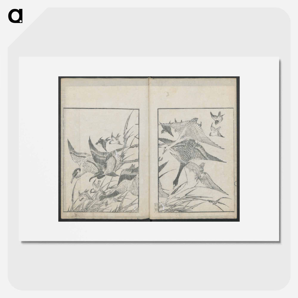 Examples of hokusai's drawings - Katsushika Hokusai Poster.