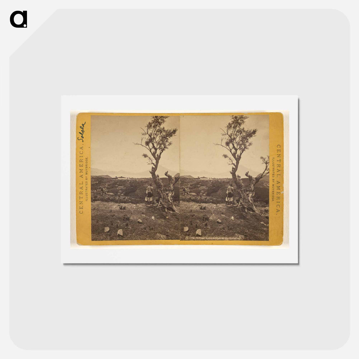 アートポストカード-Solola, Lake Atitlan
- エドワード マイブリッジ Postcard.