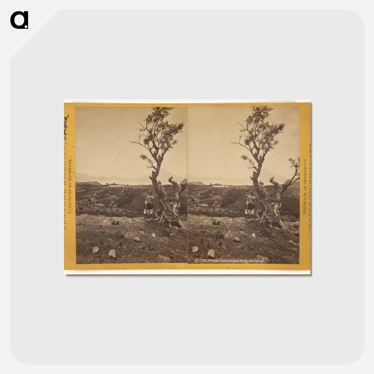 アートポストカード-Solola, Lake Atitlan
- エドワード マイブリッジ Postcard.