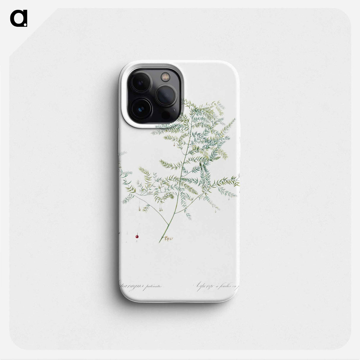 Climbing asparagus fern illustration - ピエール ジョゼフ ルドゥーテ Phone Case.