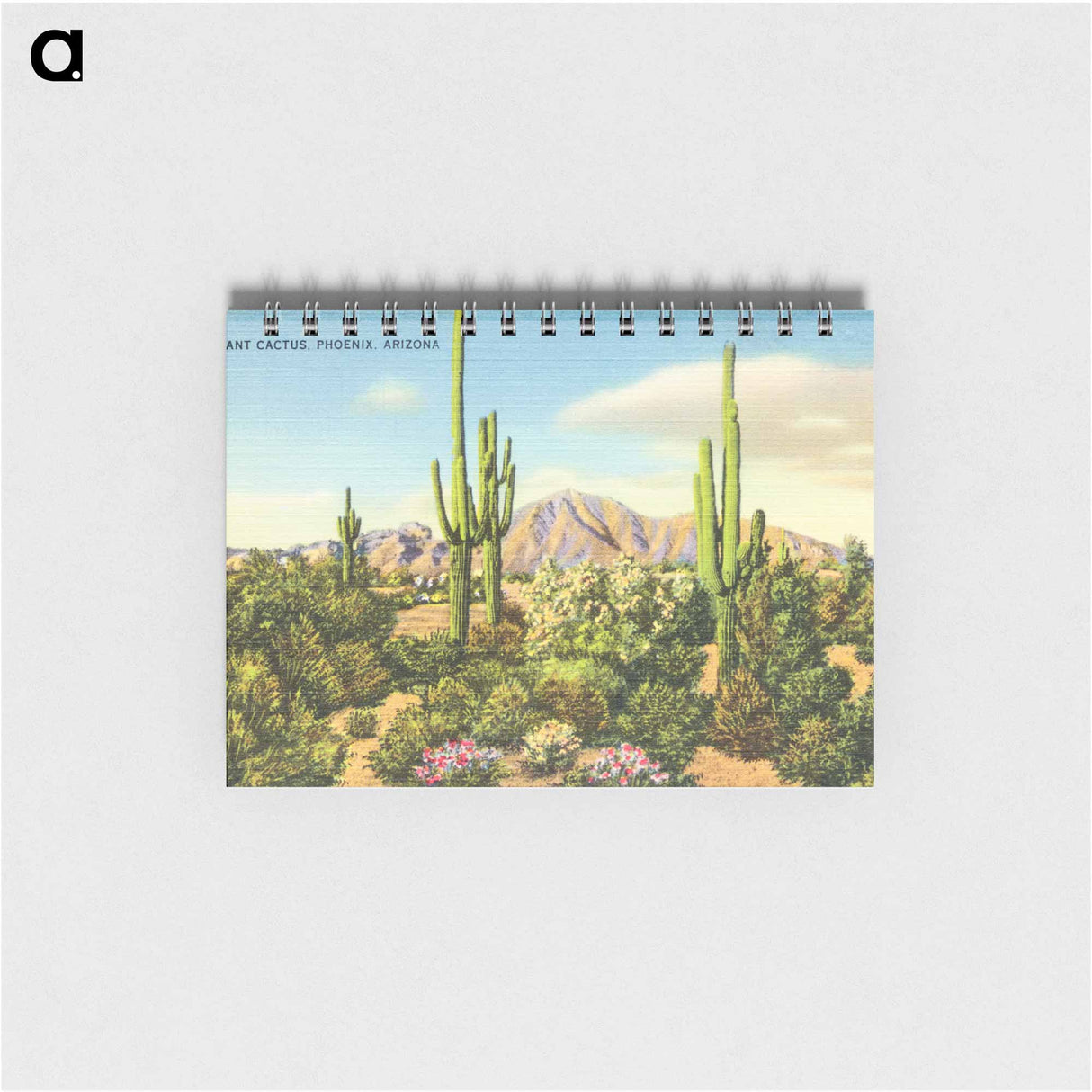 アートメモ帳-Giant Cactus, Phoenix
- ボストン公共図書館 Memo.
