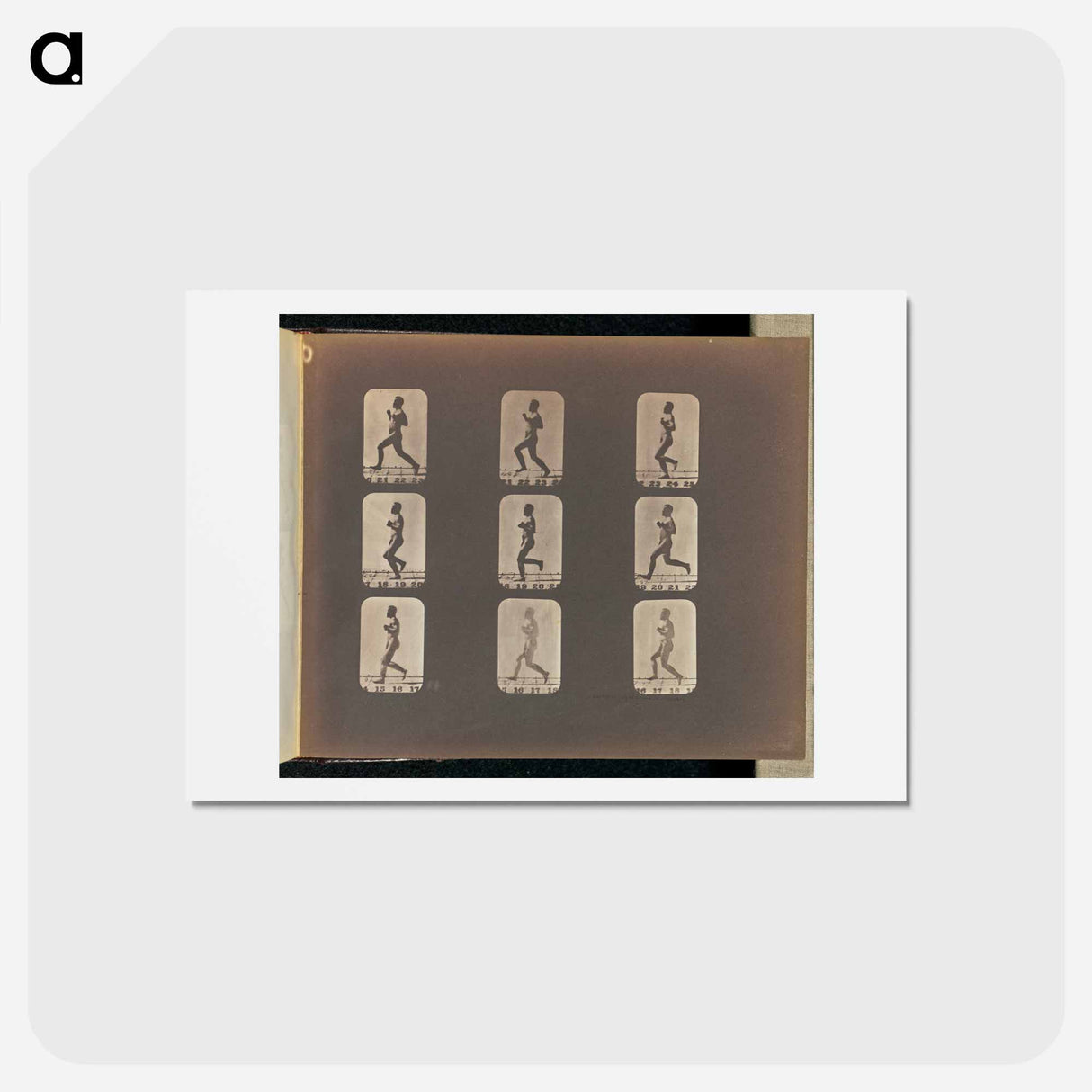 アートポストカード-Running
- エドワード マイブリッジ Postcard.