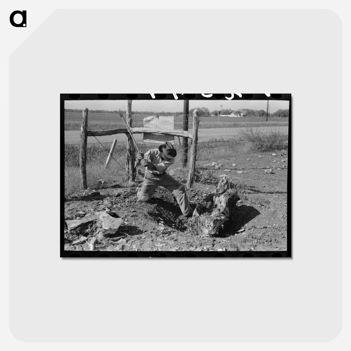 アートポストカード-Grubbing Mesquite
- ラッセル リー Postcard.