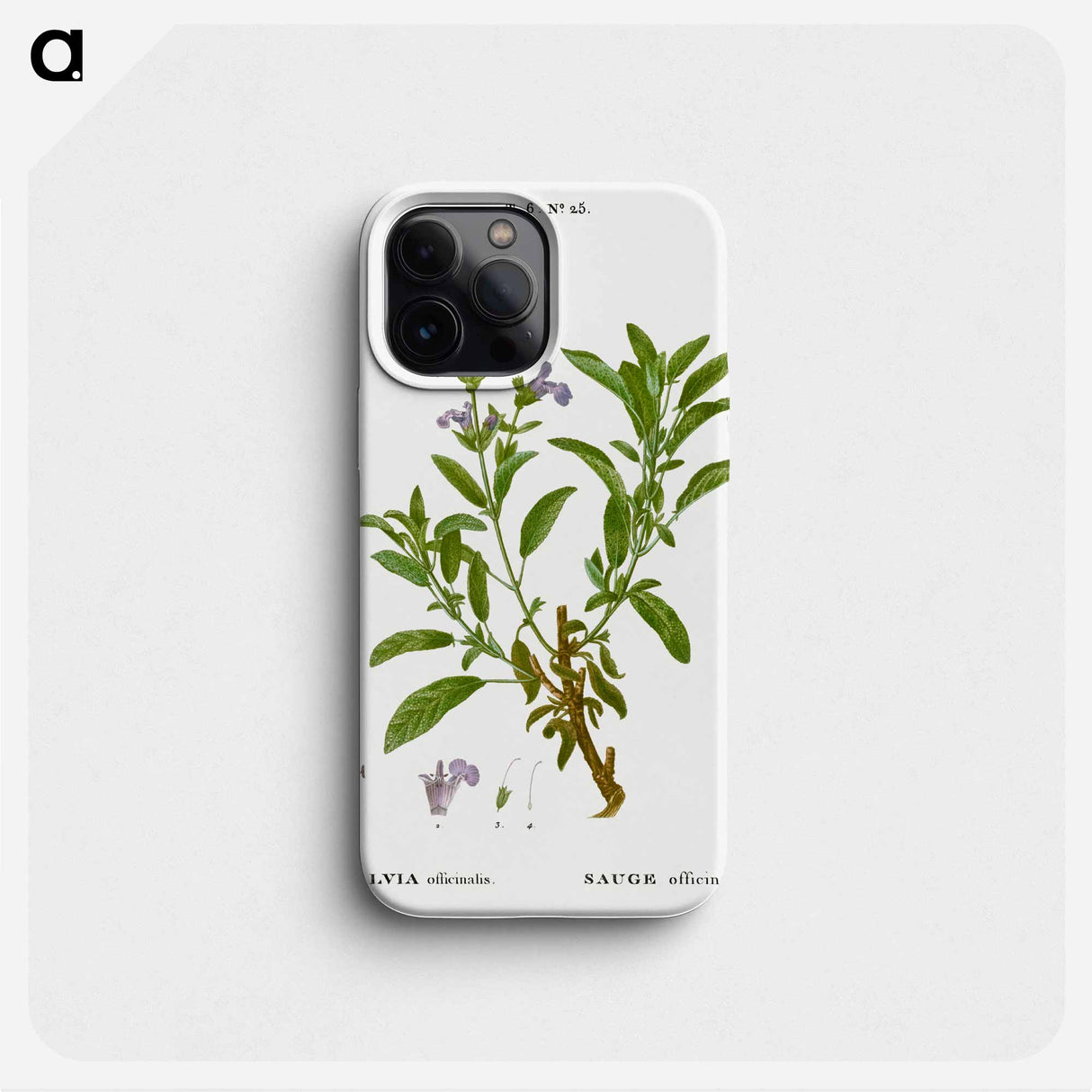 Garden sage, Salvia officinalis - Pierre Joseph Redouté Phone Case.
