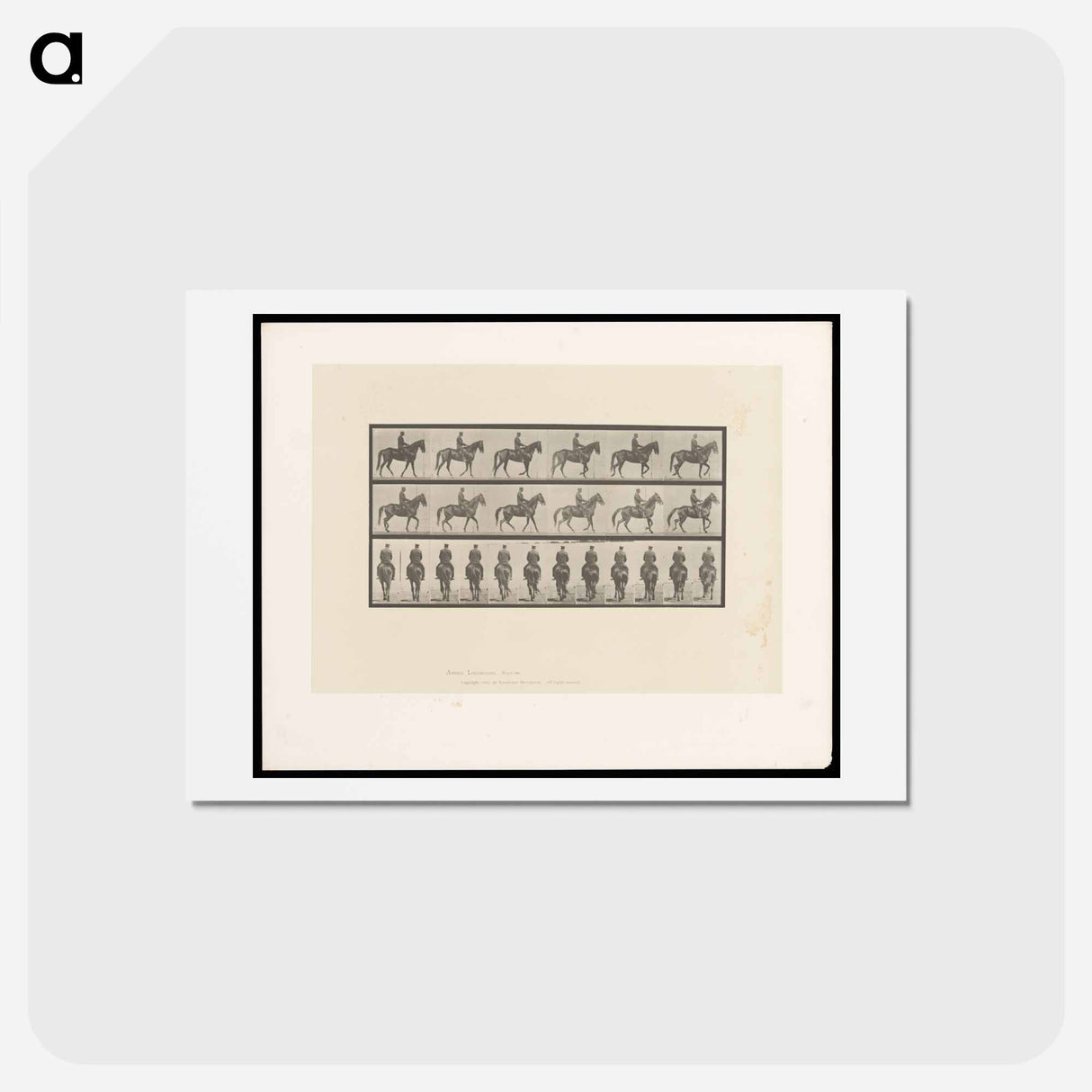 アートポストカード-Man on Horse
- エドワード マイブリッジ Postcard.