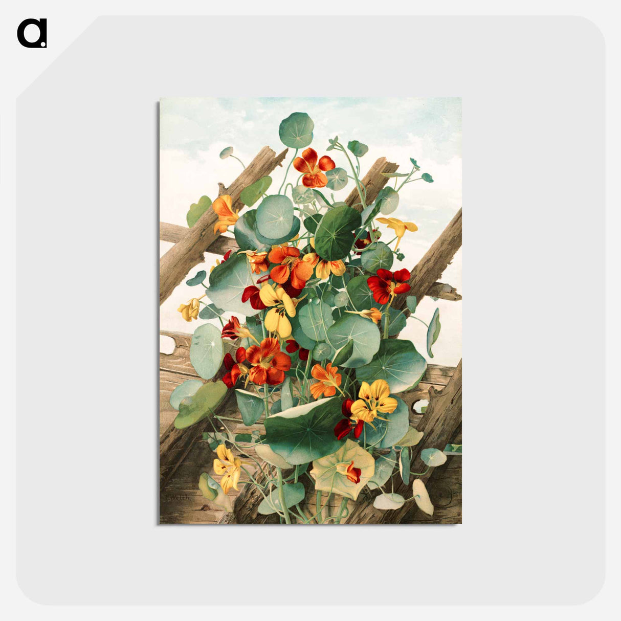 アートポストカード-The nasturtiums, no 2
- ボストン公共図書館 Postcard.