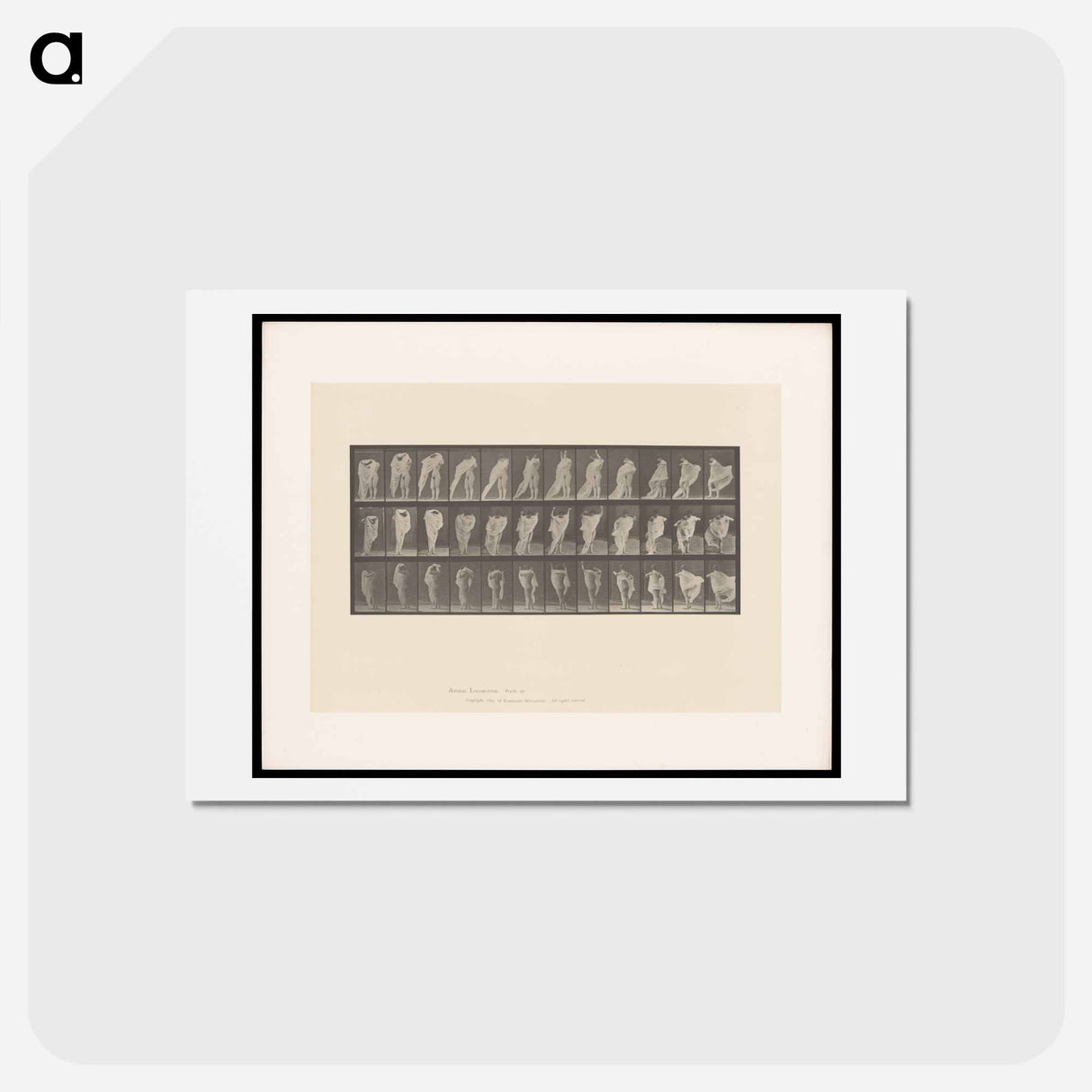 アートポストカード-Woman Dressing
- エドワード マイブリッジ Postcard.