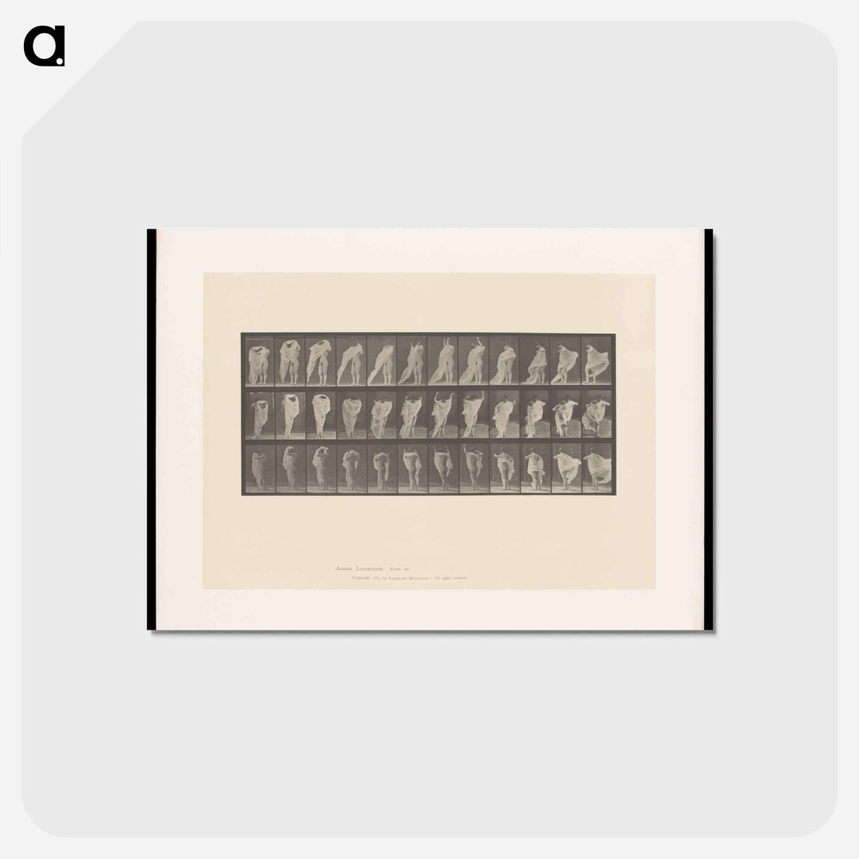 アートポストカード-Woman Dressing
- エドワード マイブリッジ Postcard.