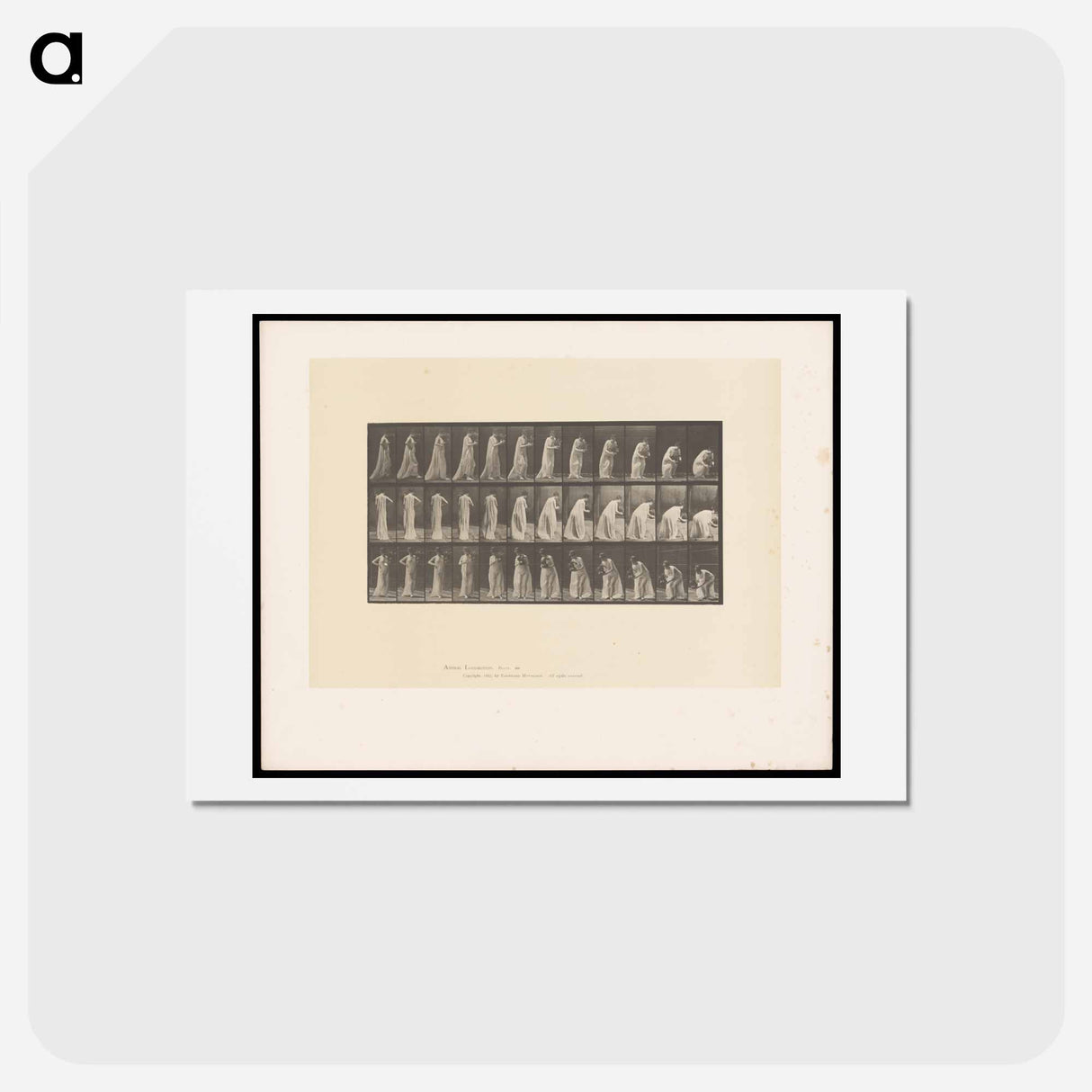 アートポストカード-Lowering the Vase
- エドワード マイブリッジ Postcard.