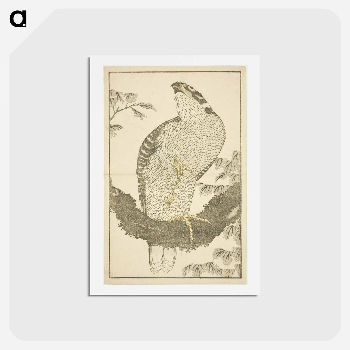 アートポストカード-Hokusai's Hawk - 葛飾 北斎 Postcard.