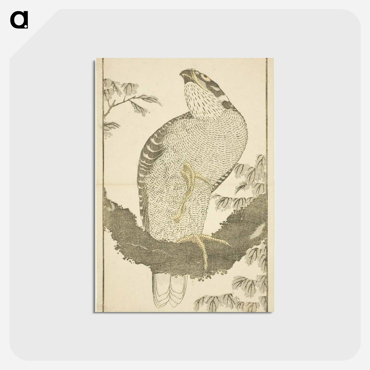 アートポストカード-Hokusai's Hawk - 葛飾 北斎 Postcard.