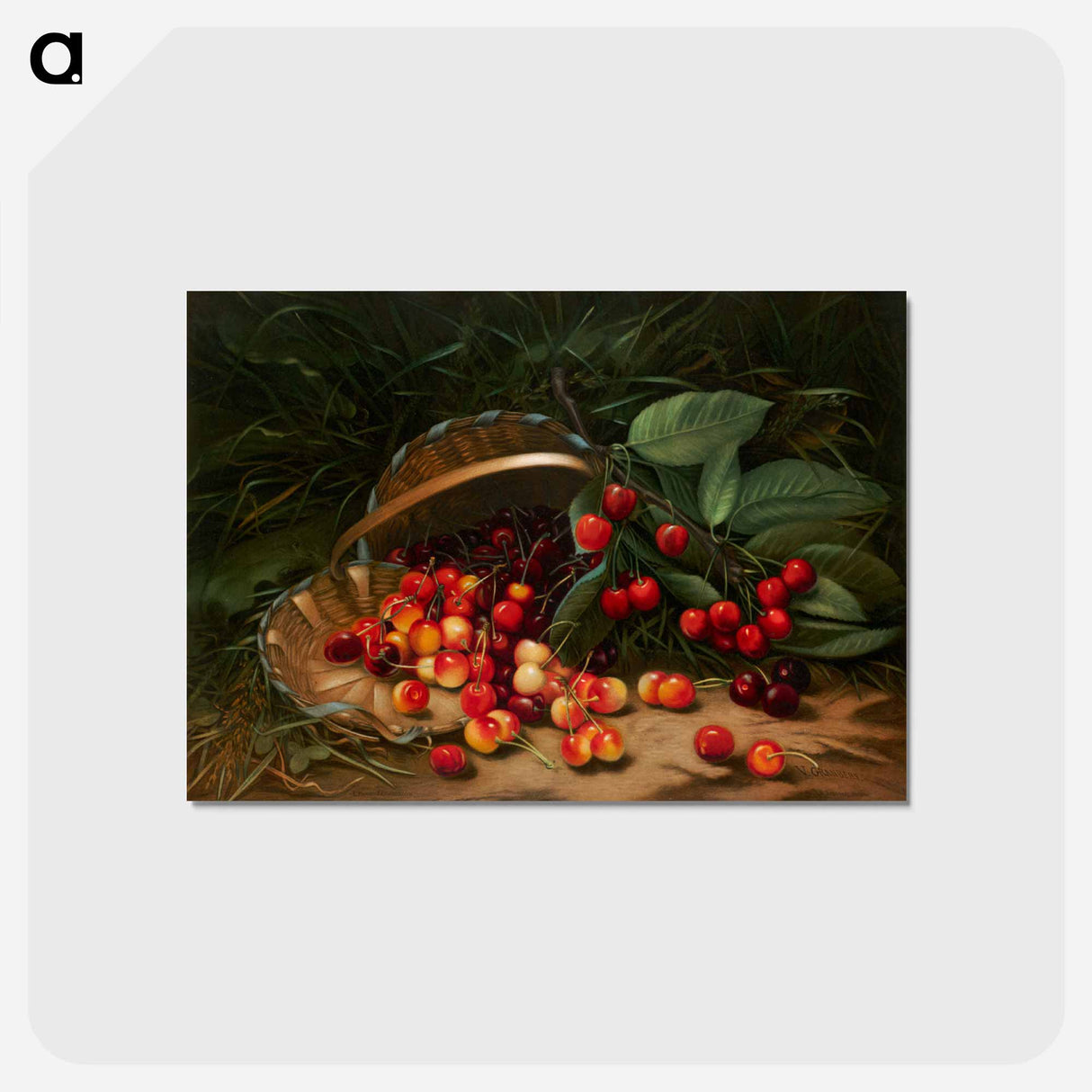 アートポストカード-Cherries
- ボストン公共図書館 Postcard.
