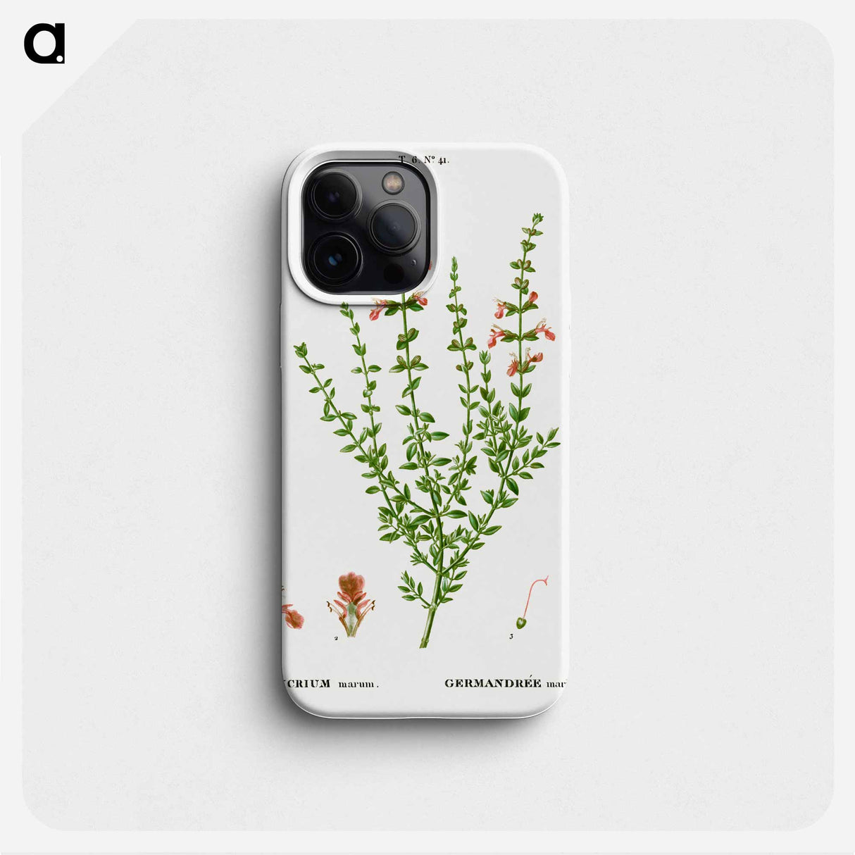 Cat thyme - ピエール ジョゼフ ルドゥーテ Phone Case.