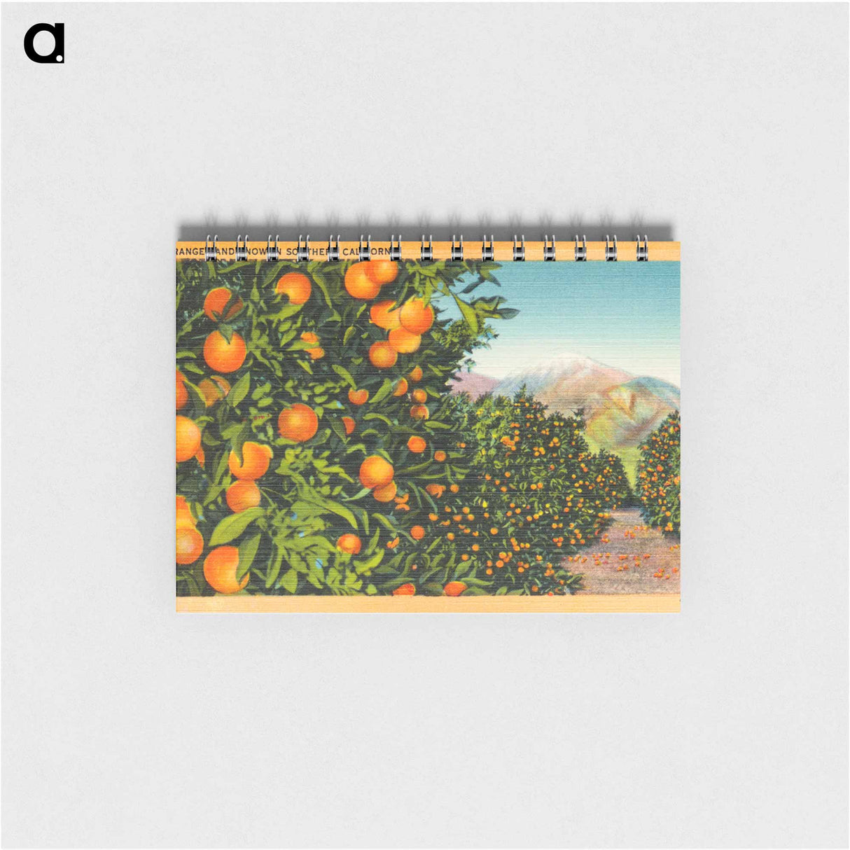 アートメモ帳-Oranges and Snow in Southern California
- ボストン公共図書館 Memo.