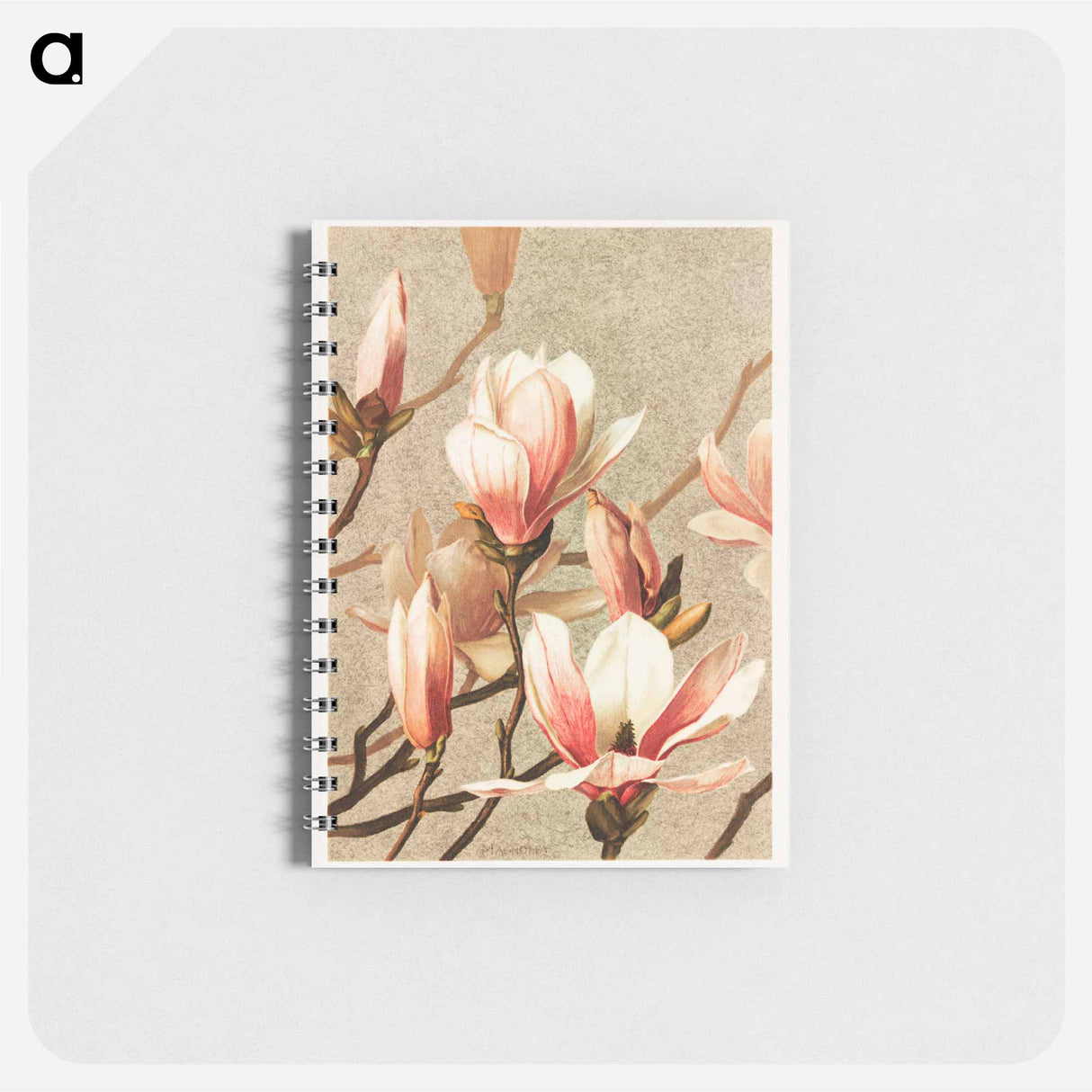アートメモ帳-Magnolia
- ボストン公共図書館 Memo.