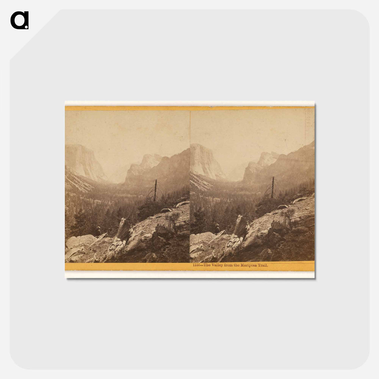 アートポストカード-The Valley from the Mariposa Trail
- エドワード マイブリッジ Postcard.