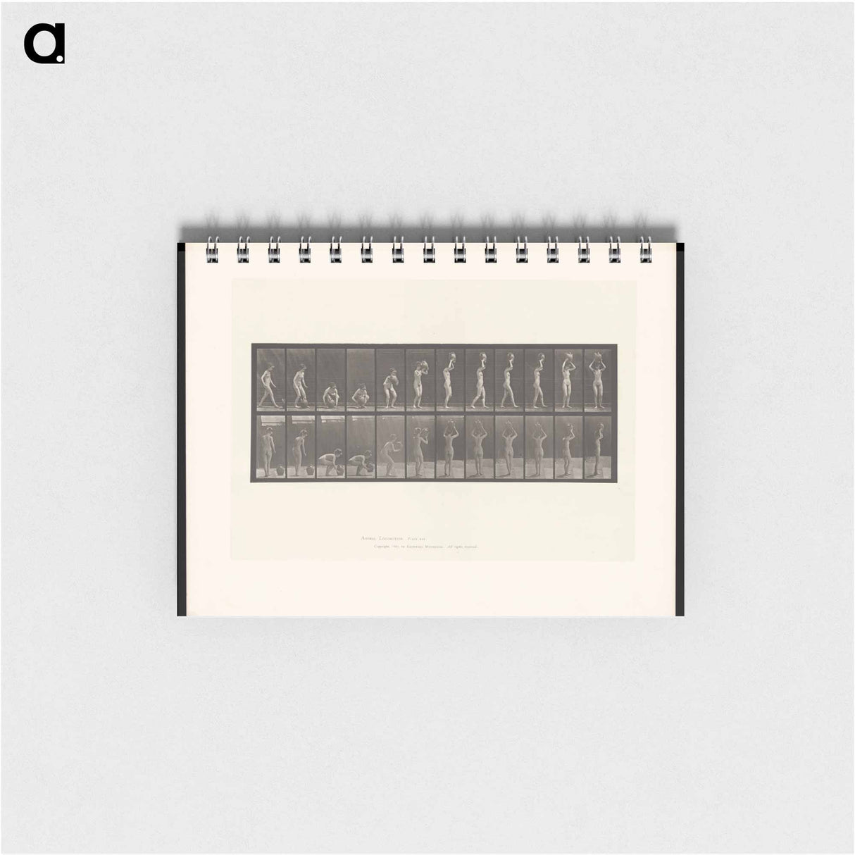 アートメモ帳-Woman with Pitcher
- エドワード マイブリッジ Memo.