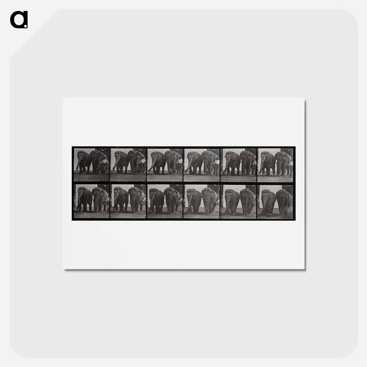 アートポストカード-Elephant Walk
- エドワード マイブリッジ Postcard.