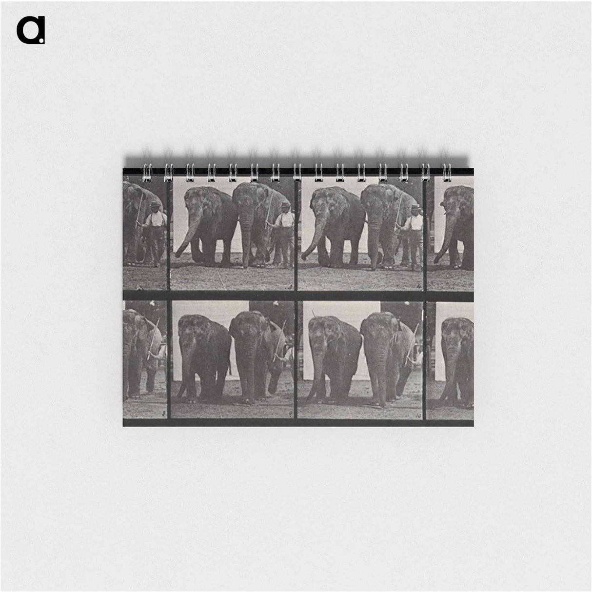 アートメモ帳-Elephant Walk
- エドワード マイブリッジ Memo.