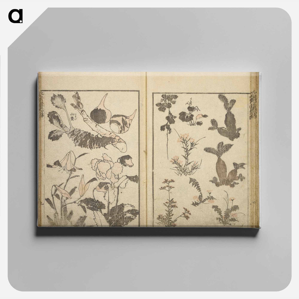 Random sketches by Hokusai volumes 1 to 11 - Katsushika Hokusai Canvas.