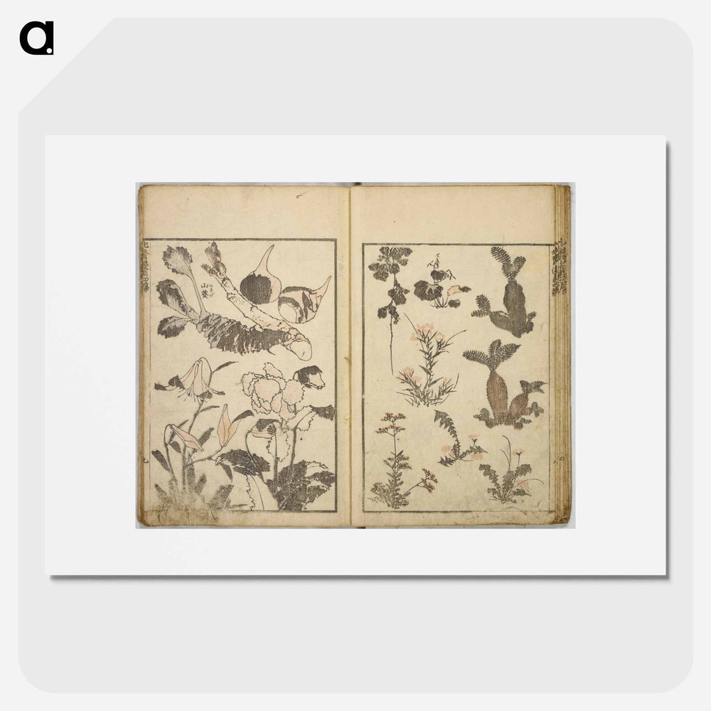 Random sketches by Hokusai volumes 1 to 11 - Katsushika Hokusai Poster.