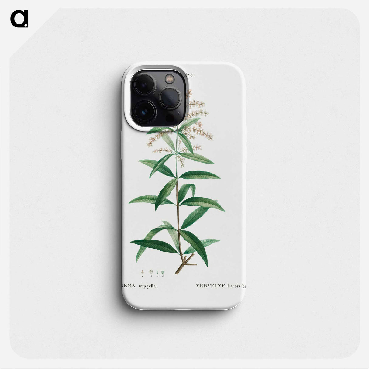 Lemon verbena, Verbena triphylla - Pierre Joseph Redouté Phone Case.